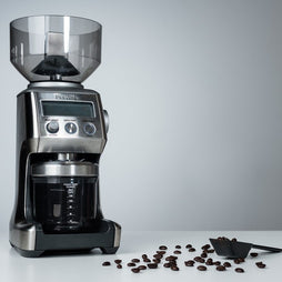 Invato Ultimo Coffee Grinder